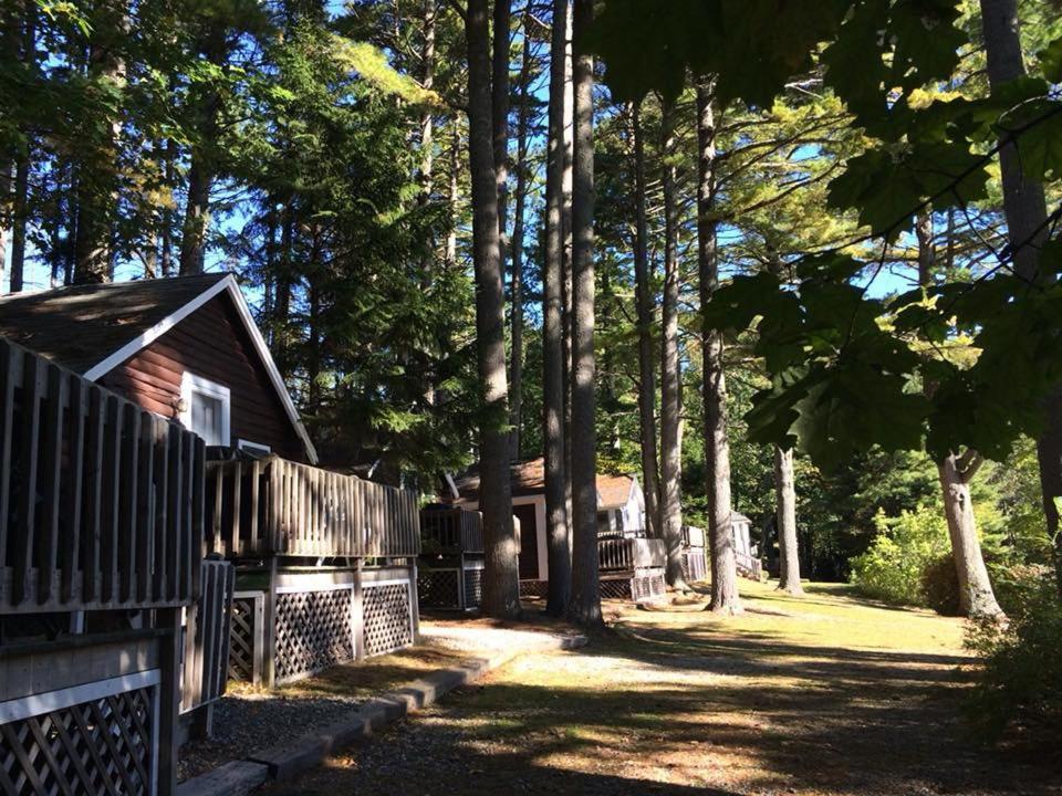 Pine Grove Cottages Lincolnville Exterior foto